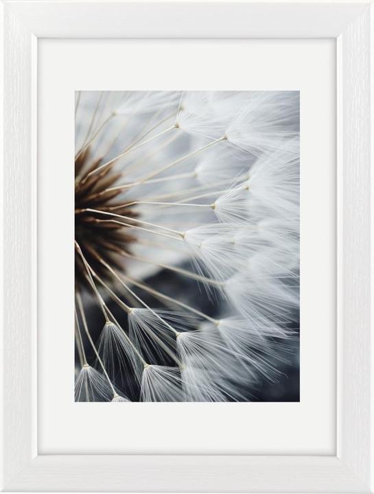 Immagine prodotto Hama vento (20 x 30 cm, 13 x 18 cm)