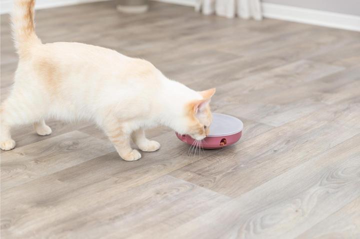 Image du produit Trixie Cat Activity Rocking Maze