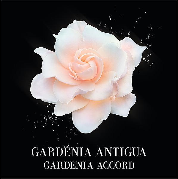 Actual product image Giorgio Armani Les Eaux Gardénia Antigua (Eau de toilette, 100 ml)