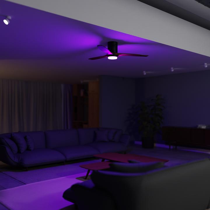 Immagine prodotto Hombli Deckenventilator mit Licht (43 dB)