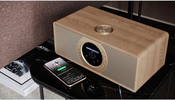 Produktbild Sharp DR-I470(BR)PRO (FM, DAB+, WLAN)