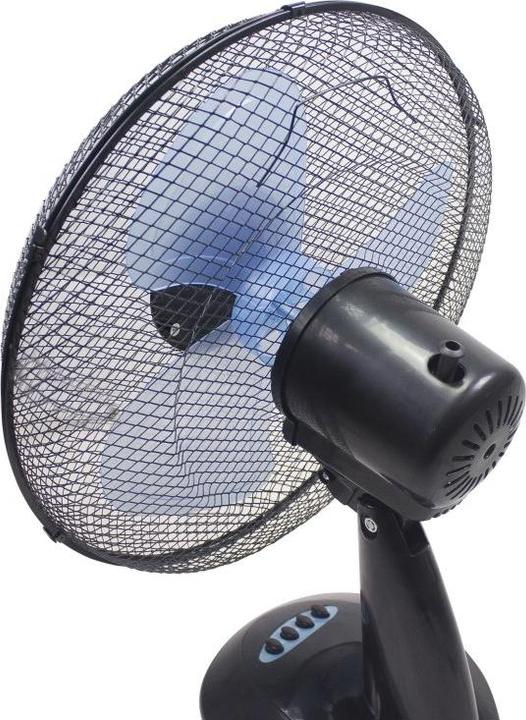 Actual product image Beper P206VEN240