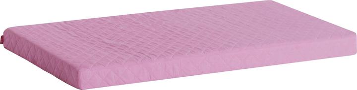 Fucsia Rosa