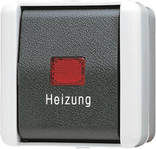 Actual product image JUNG Heating emergency switch