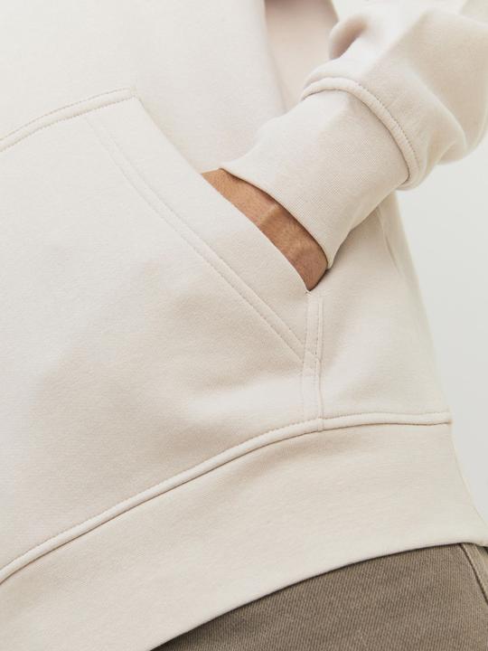 Image du produit Jack & Jones Sweat à capuche (XS)