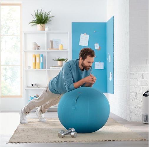 Actual product image Leitz Ergo Cosy Active sitting ball (65 cm)