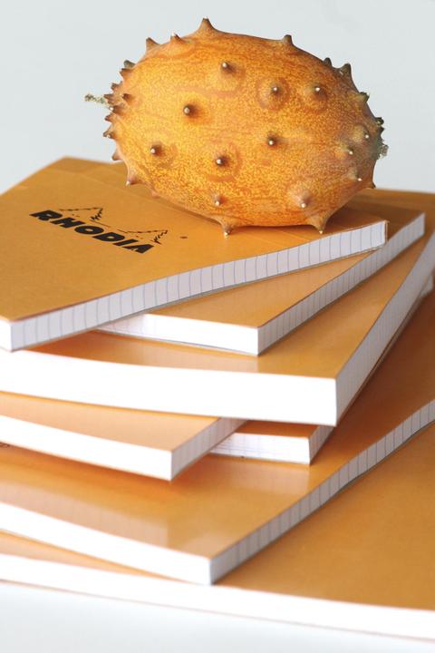Actual product image Rhodia Basics (A5, Plain)