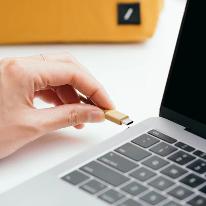 Actual product image Native Union Anchor Cable (USB-C to USB-C) (1.80 m)