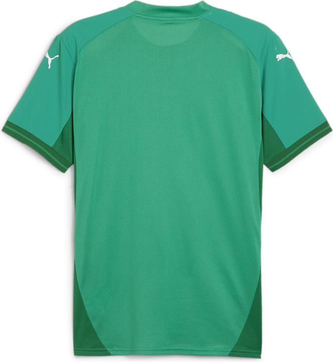 Actual product image Puma teamFINAL Jersey (XL)