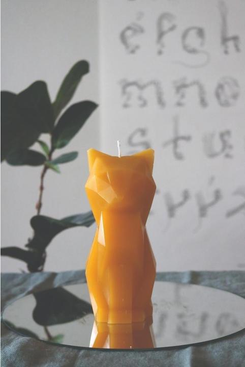Actual product image 54Celsius PyroPet Kisa (1 pcs.)
