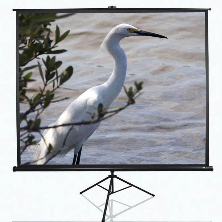 Actual product image Elite Screens Tripod (120", 4:3)