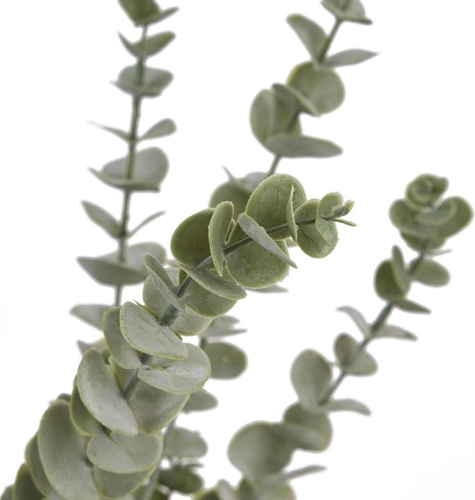 Immagine prodotto Hill Interiors Gunnii Spray all' Eucalipto Fiore Artificiale (90 cm)