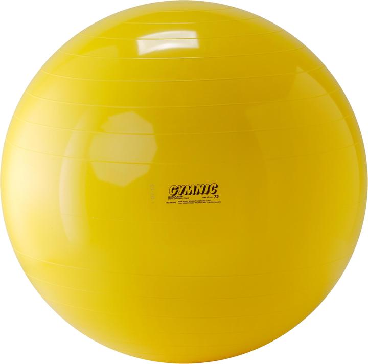 Image du produit Ledraplastic Balle de gymnastique (75 cm)
