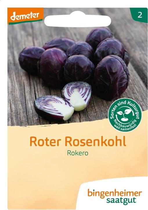 Produktbild Bingenheimer Saatgut Roter Rosenkohl Rokero (Gemüsesamen)