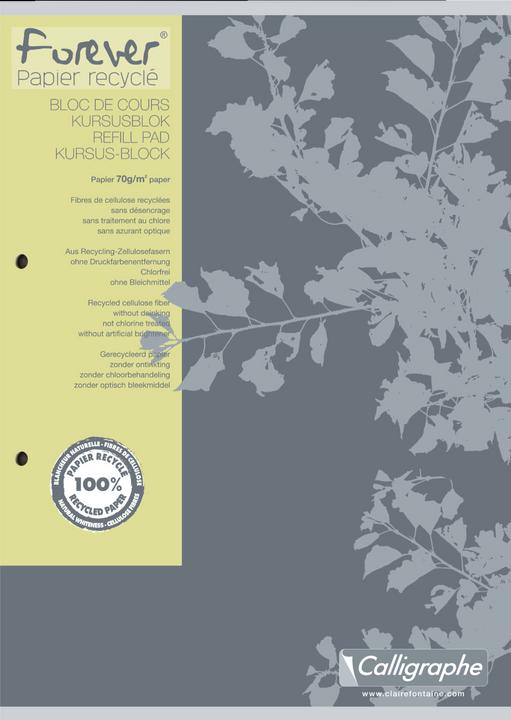 Actual product image Calligaphe Forever papier recyclé (A4, Checked)