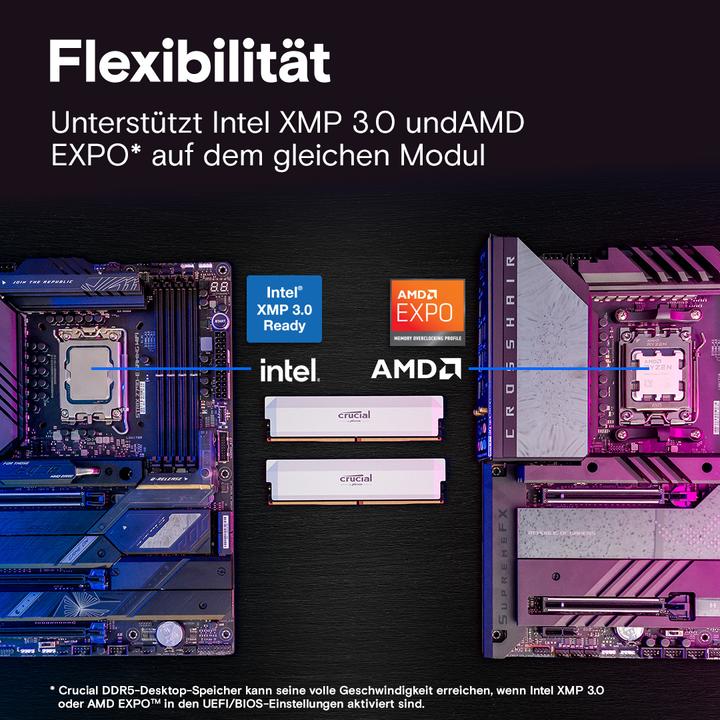 Actual product image Crucial Pro (2 x 32GB, 6400 MHz, DDR5 RAM, U-DIMM)