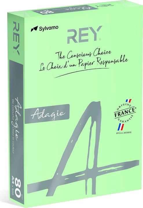 Immagine prodotto Rey Adagio Carta colorata per fotocopie A4 80G 09 Verde pastello*RYADA080X432 R200 (80 g/m², A4)