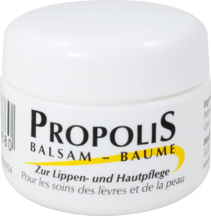 Produktbild Remmele Balsam Tiegel (Balsam, 5 ml)