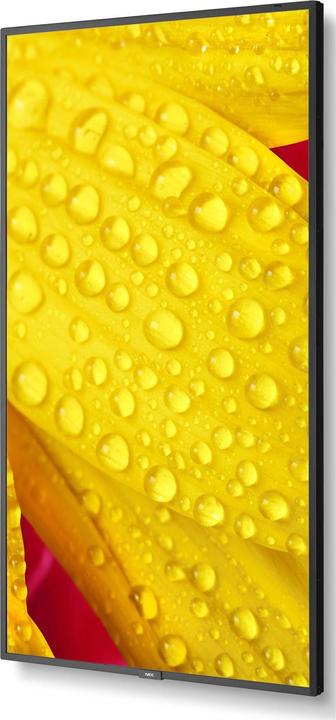 Actual product image Sharp M431-2 43IN UHD 500CD/SQM (3840 x 2160 Pixels, 43")