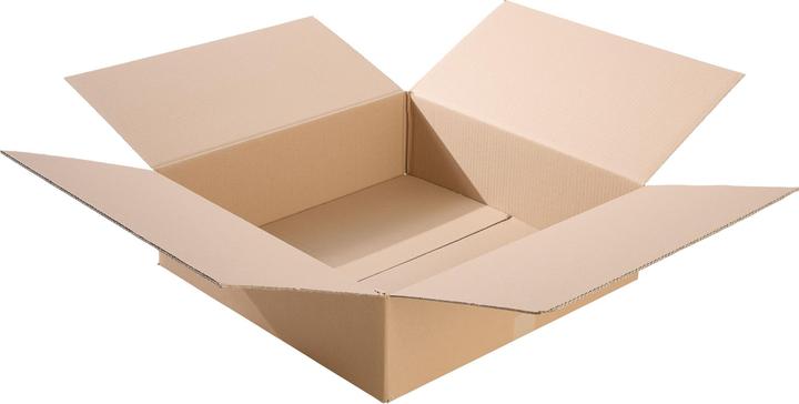 Corrugated cardboard boxes (10 x)