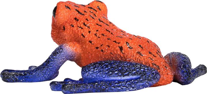 Actual product image small foot Poison Dart Frog