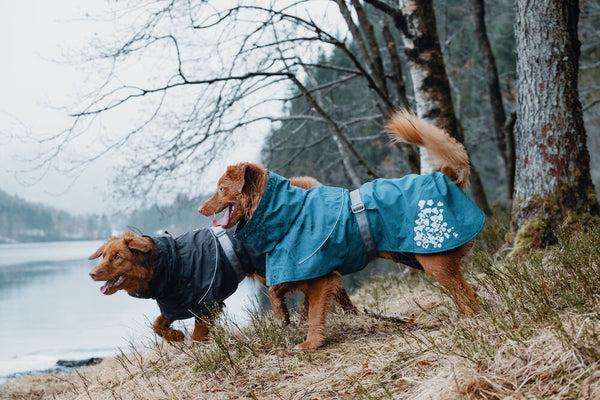 Actual product image Hurtta Monsoon Coat bilberry (65, Dog coat)