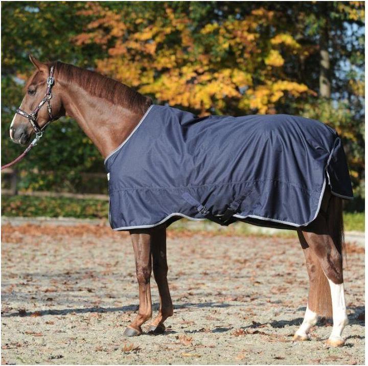 Actual product image Kavalkade Winnipeg 200 g (135 cm)