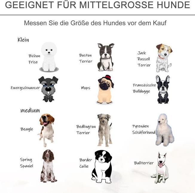 Image du produit Swisshandel24 Canapé pour chien canapé pour chien avec velours hollandais mousse pied en bouleau pour chats (Chat, Chien)