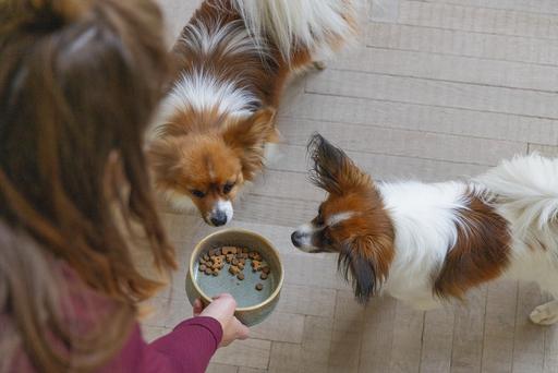 Actual product image Designed by Lotte Jace dog bowl (0.45 l)