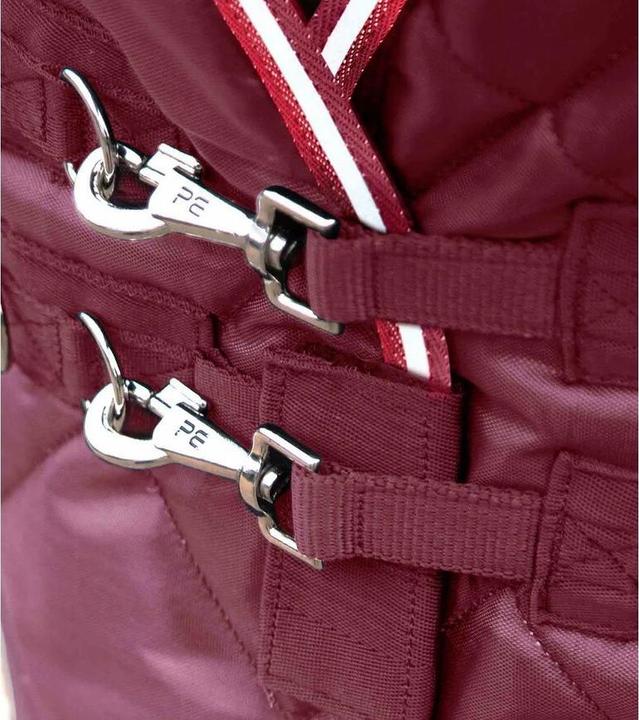 Produktbild Premier Equine Tuscan 100 g (183 cm)