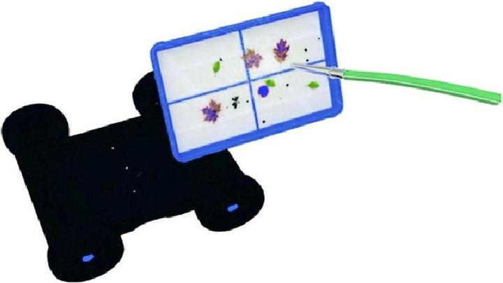 Image du produit Poolstar Coyote