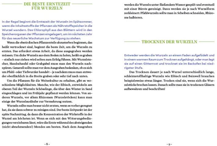 Image du produit Die Kraft der Wurzeln (Allemand, Le berceau de Miriam, 2020)