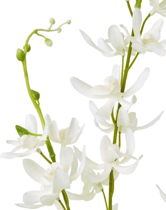 Image du produit Hill Interiors Cymbidium Spray Fleur Artificielle (95 cm)