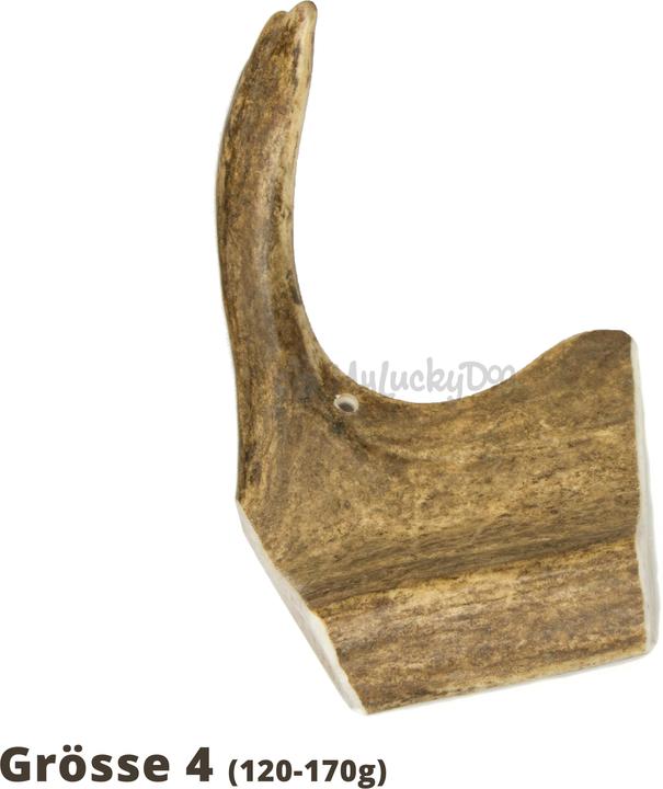Actual product image Larrson Farm Elk antlers ELK-Schäufle chewing article- 1 piece (Adult, 1 pcs., 170 g)