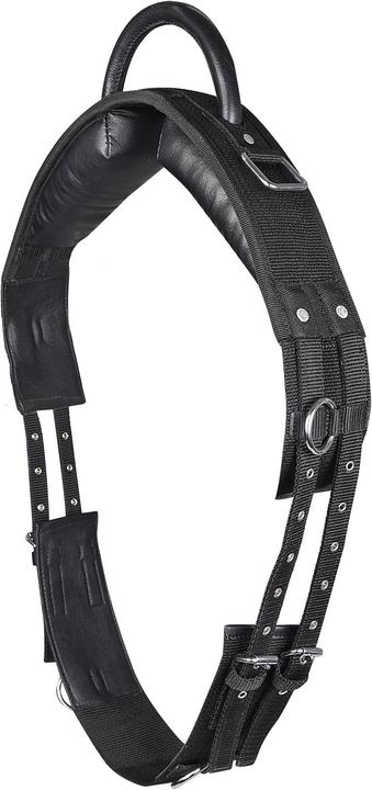 Actual product image Waldhausen Lunging harness with handle