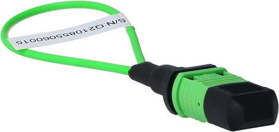 BlueLAN BlueOptics Loopback Adapter MPO/MTP Multimode OM5