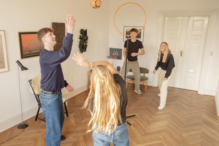 Productafbeelding Pitjau - Indoor Ball Game