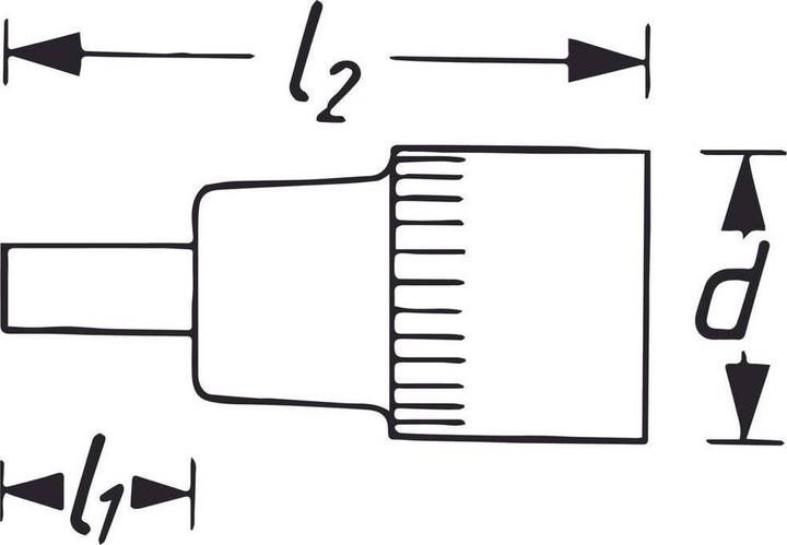 Actual product image HAZET Screwdriver Bit