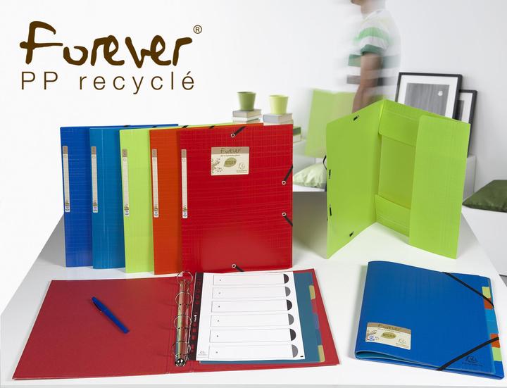 Image du produit Exacompta Intercalaires poplypropylène recyclé Forever® 12 positions - A4 - Couleurs assorties