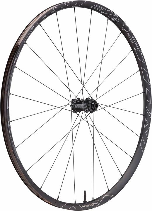 Produktbild Easton EA90 AX Road CLN Disc Front Wheel 12x100/15x100 (Vorderrad, 28")