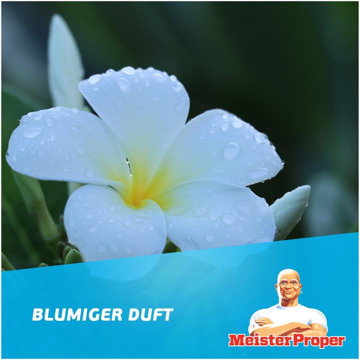 Actual product image Meister Proper Allzweckreiniger