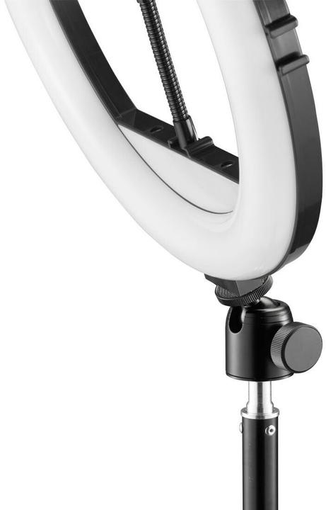 Actual product image Hama SpotLight Steady 120 II (Ring light)