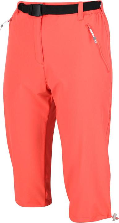 Produktbild Regatta Xert Freizeitshorts (46 D)