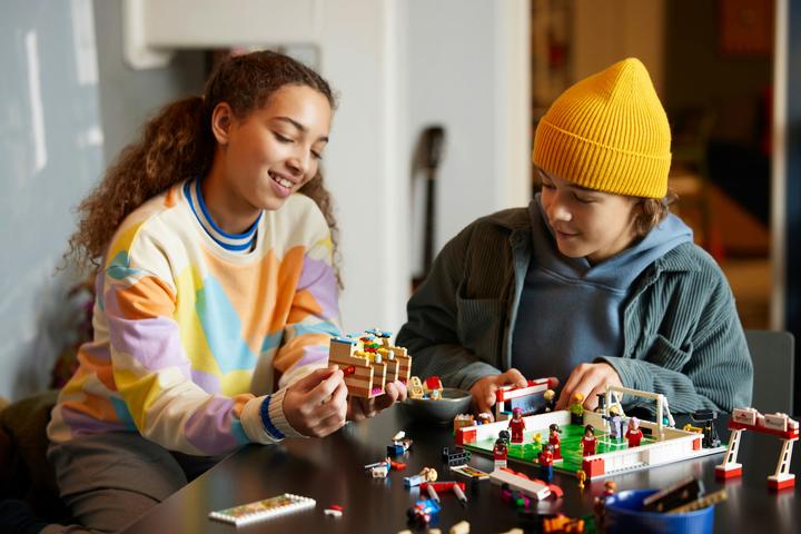 Actual product image LEGO Icons (40634, LEGO Icons, LEGO Rare Sets)