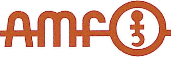 Image du produit Amf Clé à ergot avec nez (90 mm, 82 mm, 80 mm, 88 mm, 85 mm)