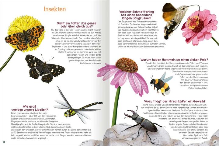 Produktbild Was willst du wissen? Das grosse Fragen- und Antwortenbuch – Tiere (Deutsch, Kristine Ortmeier, Angelika Huber-Janisch, 2023)