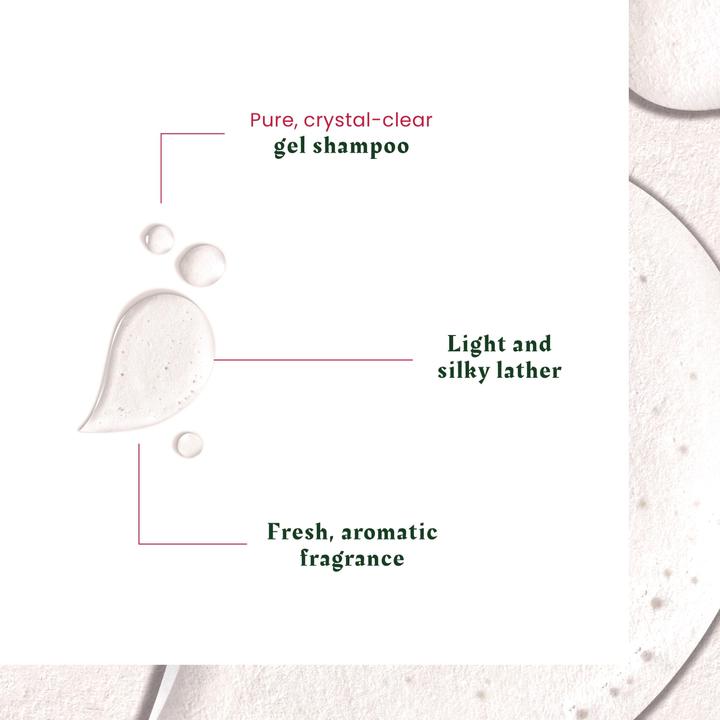 Immagine prodotto Rene Furterer Neopur - Shampoo antiforfora - Forfora grassa (250 ml)