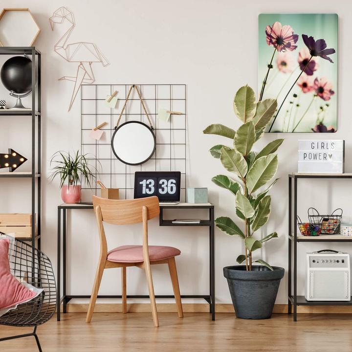 Image du produit Trenddeko Cosmos roses (40 x 60 cm)