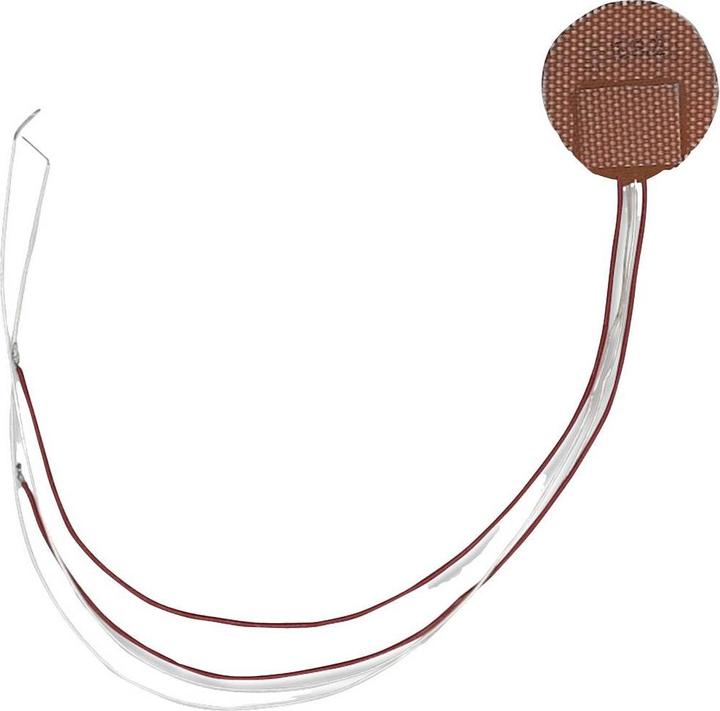 Immagine prodotto Thermo Tech Foglio riscaldante in silicone rinforzato con fibra di vetro 12 V/AC, 12 V/DC 10 W Classe di (Foglio di riscaldamento)
