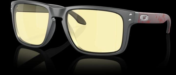 Oakley Holbrook XL